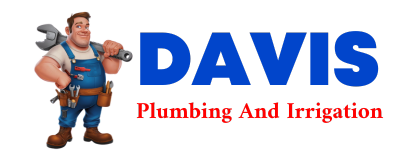 Trusted plumber in NORTH BUENA VISTA